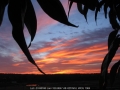 20050819jd07_sunrise_pictures_schofields_nsw