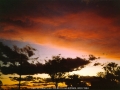 19931122jd02_sunset_pictures_schofields_nsw