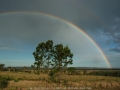 20061111mb31_virga_pictures_whiporie_nsw