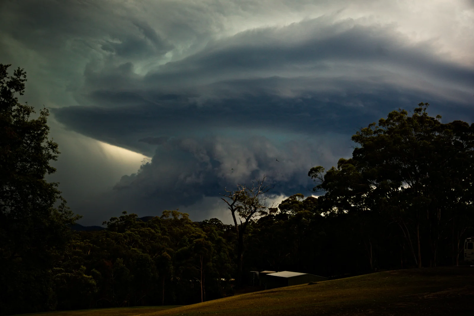 A towering rotating supercell storm over bushland