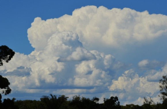 Eastern NSW - Four days of weather extremes 25 to 28 January 2015 2