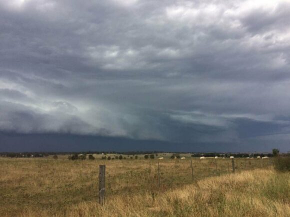 Shelf cloud looking north