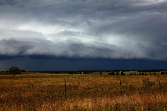 SW of Singleton - shelf cloud makes an appearance.