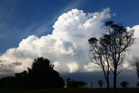 Pileus disappeared quickly as updraft kept rising - this was time-lapsed