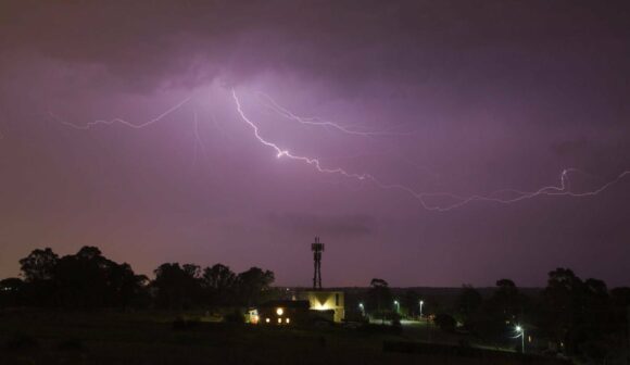 Anvil crawler spreads across western Sydney