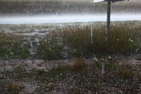 Hail to 1.5cm falling for about 5 minutes on the edge of the storm