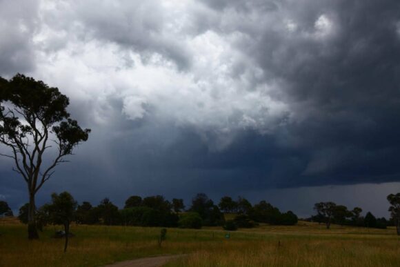 Armidale hailstorm  Rodney was taking a break