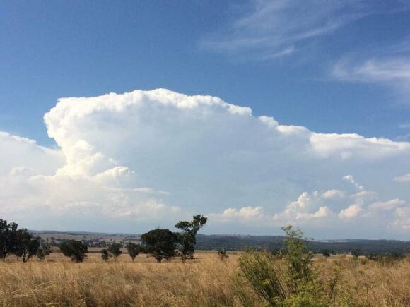 Near Coolah NSW