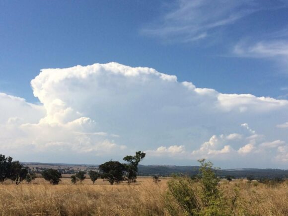 An overshoot can be seen with knuckled back-shear!