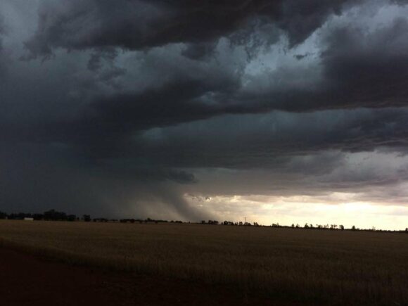 Temora Storm Complex 27th November 2017