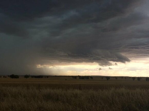 Temora Storm Complex 27th November 2017