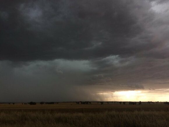 Temora Storm Complex 27th November 2017