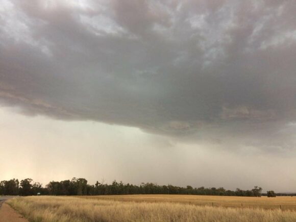 Temora Storm Complex 27th November 2017