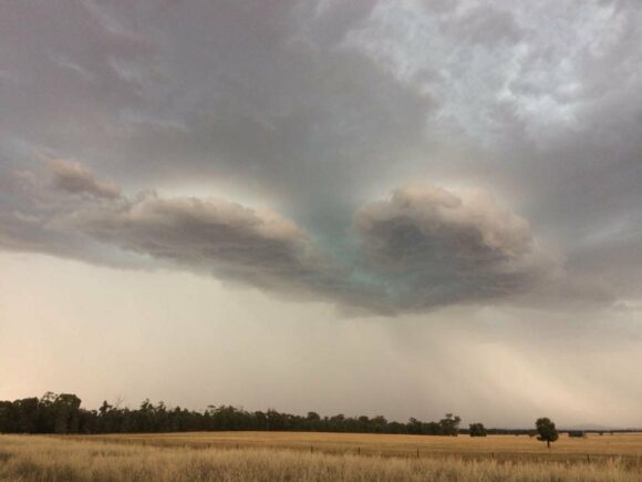 Temora Storm Complex 27th November 2017