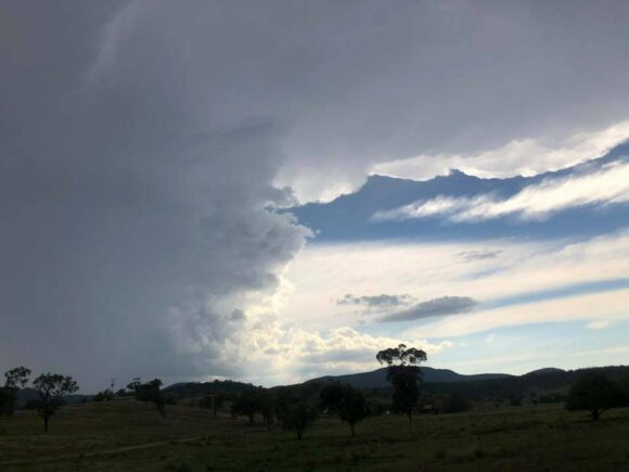 First cell that barely moved - we circumnavigated it haha. It died and then we rapidly headed for the other cell that sh