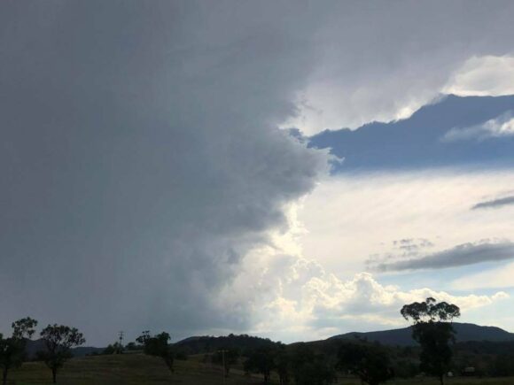 The first cell that sat there and hardly moved. We came from the south side and ended up on the north side before it col