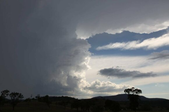 Cell stays relatively stationary due to forward movement being compensated by back building!