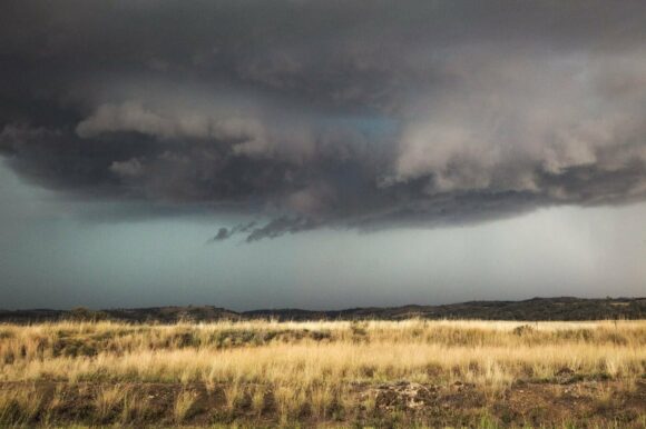 Decent contrast of the cell that came through to NSW border with Queensland