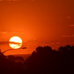 Maximum Temperatures Reach 48C During Heatwave Event – 27 January 2026
