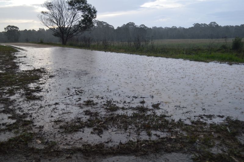 The feature image - Following significant rainfall, scenes such as this was common across Eatsern Creek area.